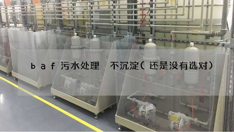 baf污水处理 不沉淀(还是没有选对)